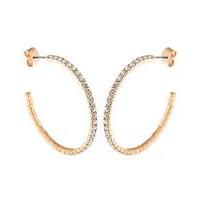 Crystal Glitz Rose Gold Plated J Hoops
