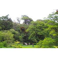 Curi Cancha Nature Reserve Admission Ticket