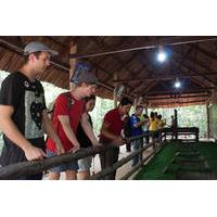 Cu Chi Tunnels Experience: Small Group Tour