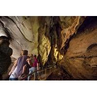 Cutta Cutta Caves Nature Park Gu...