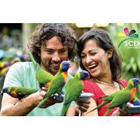 currumbin wildlife sanctuary and tropical fruit world day trip from go ...