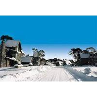 Currawong Lodge