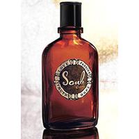 Curve Soul 100 ml EDT Spray (Tester)