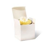 Cupcake Favour Box Pack Ivory