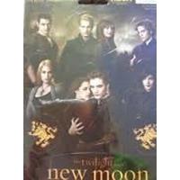 Cullen Family 9 Piece Magnet Set - Twilight New Moon - Neca