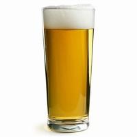 Custom Nucleated Premier Beer Glasses CE 10oz / 280ml (21 x Cases of 48)