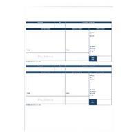 Custom Forms Pegasus CapitalOpera Payslips Pack of 500 CL95