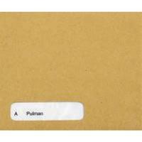 custom forms sage wage envelope pack of 1000 se45