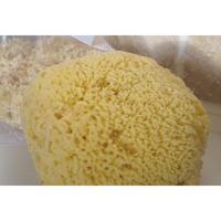 Cuddledry Natural Sea Sponge