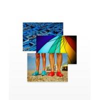 Custom Postcards, 10 qty