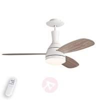 Cumulus ceiling fan for summer and winter