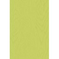 cuprinol garden shades zingy lime 25l