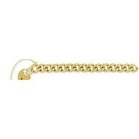 Curb Link Charm Bracelet with Padlock 7.5/19cm