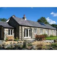 Cwt Mochyn