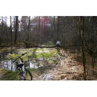 Cycling Tour in National Park in Warsaw