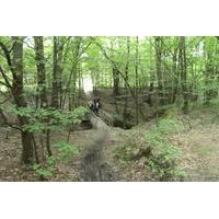 Cycling tour in Landscape Park near Warsaw