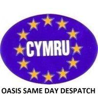 Cymru Euro Oval Sticker