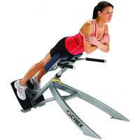 Cybex 45 Degree Back Extension