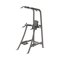 cybex free weights series dipchinleg raise chair
