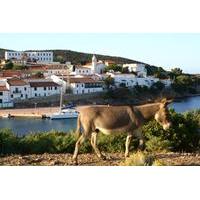 Day Tour to Asinara National Park Including Lunch