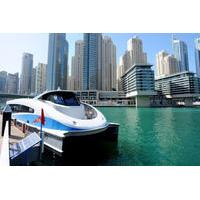 Day City Tour of Dubai\'s Modern Visions