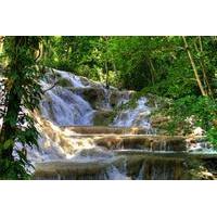 Day Trip to Dunn\'s River Falls from Montego Bay