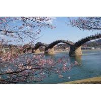 Day Tour of Kintaikyo Bridge and Itsukushima Shrine with a Local Guide from Hiroshima