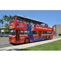 Darwin Shore Excursion: Hop-on Hop-off Bus Tour