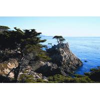 Day Trip to Monterey and Carmel via California Coast