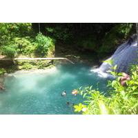 Day Trip to Blue Hole and Dunn\'s River Falls from Falmouth