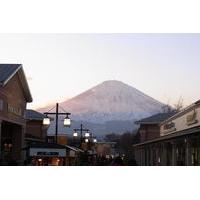 day trip to hakone area from tokyo including pirate ship cruise and ya ...
