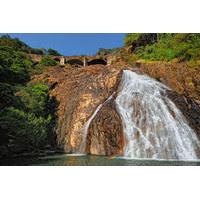 Day Trip to Mollem National Park Including Dudhsagar Falls and Jeep Safari from Goa