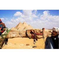 Day Tour to Cairo from Hurghada by Flight