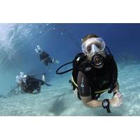 Day of Scuba Diving by Boat for Certified Divers