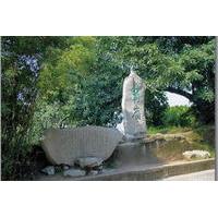 Day Tour: Discovering Chongqing