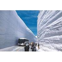 day trip to tateyama kurobe alpine route from nagoya