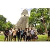 Day Trip to Tikal with Optional Canopy Zipline from Guatemala City or Antigua