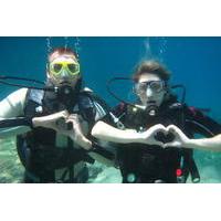 Daily Scuba Diving Trips Plus Diving Courses From Fethiye