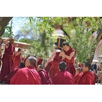 day tour tibet drepung and sera monasteries