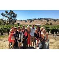 Daily Napa Wine Tour From San Francisco