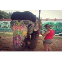 Day Excursion with Elephants in Jaipur