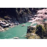 Day Trip to the Tokushima Prefecture including the Oboke Gorge and Iya Valley from Osaka