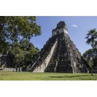 Day Trip to Tikal Maya Ruins Including Lunch