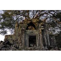 Day Trip to Beng Mealea Temple and Kampong Khleang from Siem Reap