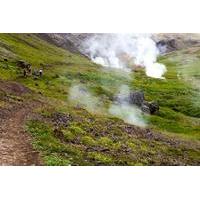 Day Trip from Reykjavik: Hiking and Hot Springs Adventure in Reykjadalur and Hveragerdi