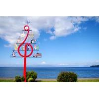 day tour to the border of llanquihue lake and osorno volcano from puer ...