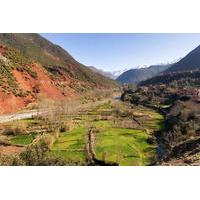 Day Trip to Atlas Mountains and 4 Valleys from Marrakech with Optional Visit to Takerkoust Lake and Kik Plateau