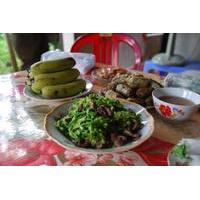 Day Trip to Ninh Binh from Hanoi Including Local Lunch Experience