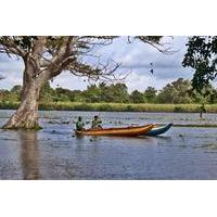 Day Trip to Hiriwadunna Village from Sigiriya and Dambulla