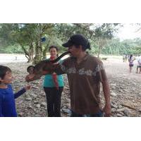 Day Jungle Tour in the Napo River of Ecuador from Tena